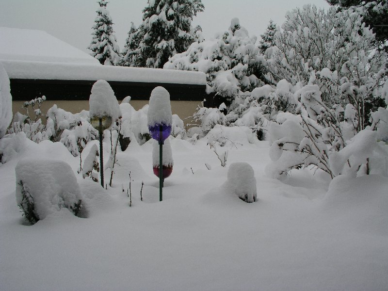 Schneegarten in Radolfzell, Anfang 2006