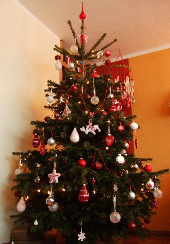 Der Weihnachtsbaum 2009