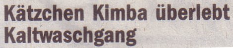 Die Welt, 28.05.2010, Titel: Kätzchen Kimba überlebte Kaltwaschgang