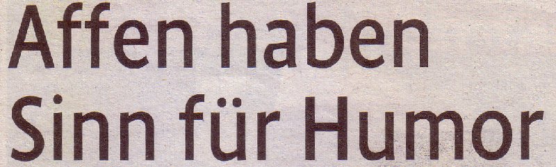 Kölner Stadt-Anzeiger, 07.08.10, Titel: Affen haben Sinn für Humor