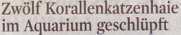 Kölner Stadt-Anzeiger, 19.11.10, Titel: Zwölf Korallenkatzenhaie im Aquarium geschlüpft