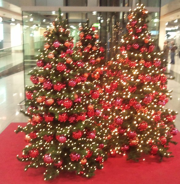 Weihnachtsbäume am Flughafen