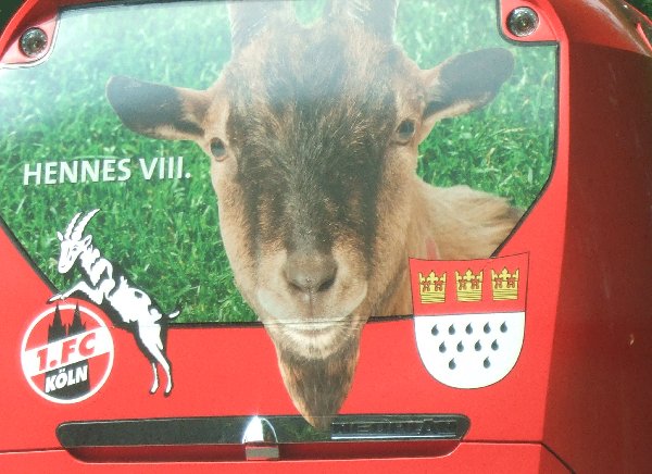 Nahansicht des Hecks des 1. FC Köln-Mannschaftsbusses