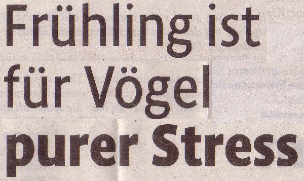 Kölner Stadt-Anzeiger, 16.04.2011, Titel: Frühling ist für Vögel purer Stress